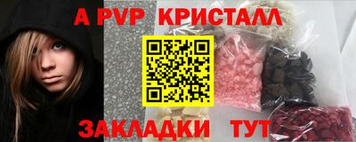 стафф Заводоуковск