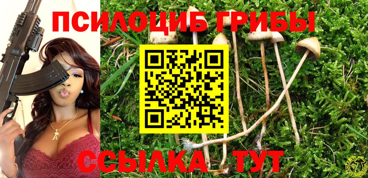 Галлюциногенные грибы мицелий  Галлюциногенные грибы Psilocybine cubensis  дарнет шоп  Вход с VPN  Набережные Челны 