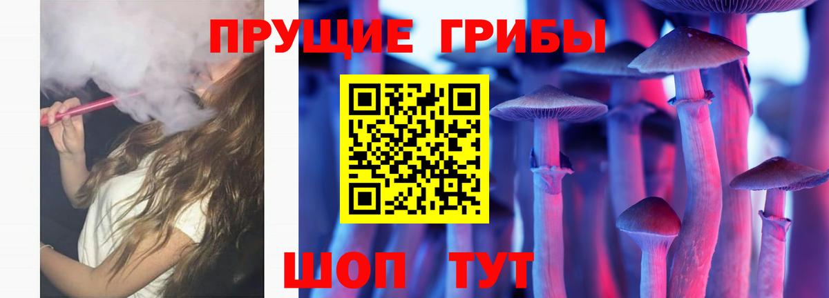 Псилоцибиновые грибы Cubensis Набережные Челны